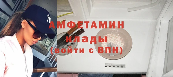 гидра Арсеньев