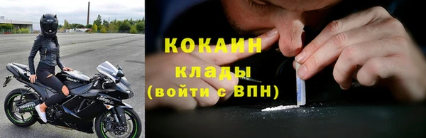 гидра Арсеньев
