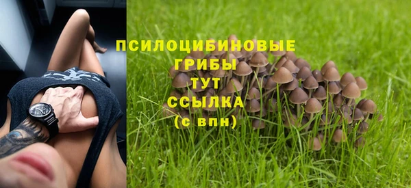 индика Армянск