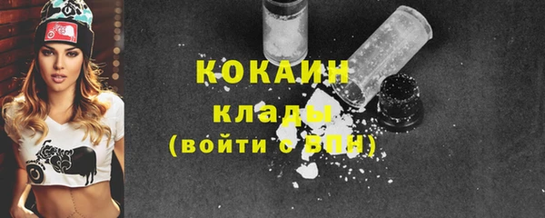 индика Армянск
