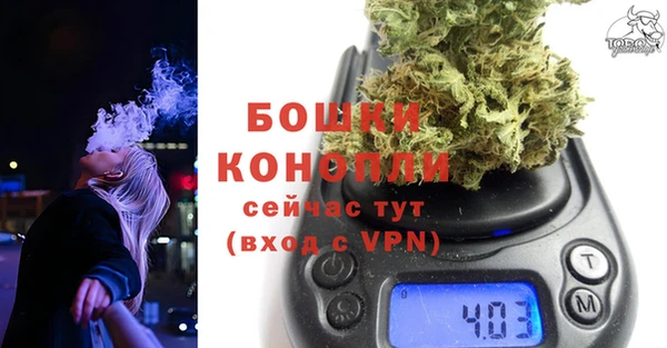 гидра Арсеньев